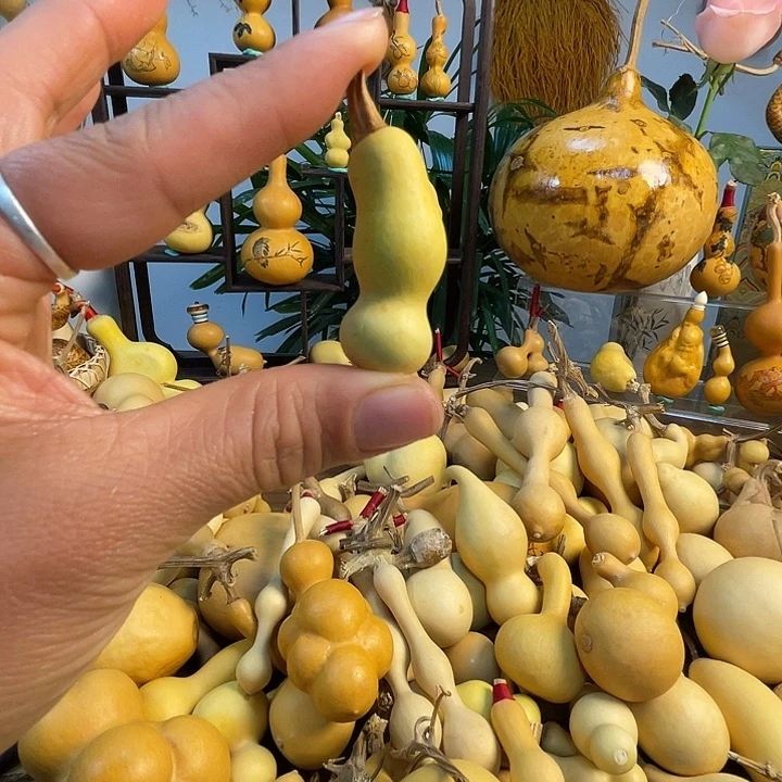 鸿***渐藤手把葫芦精品系列2