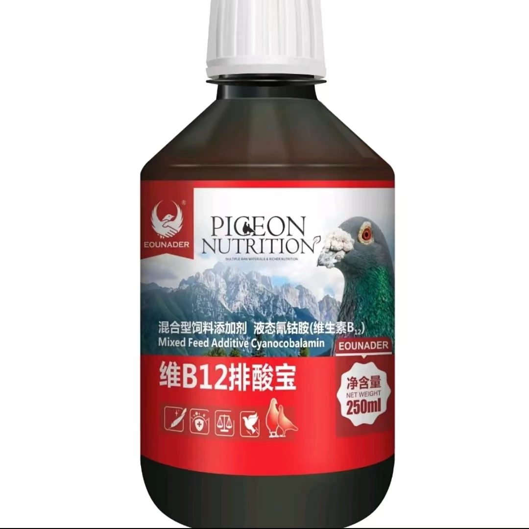 排酸宝 赛鸽信鸽用品调理补充营养恢复能量预防黑舌紫胸