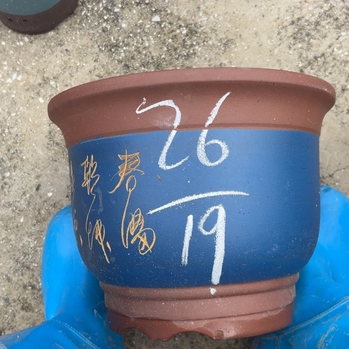 紫砂花盆紫砂的颜色