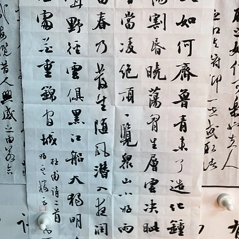 【闪购商品】国画艺*两平尺二首作品欣赏