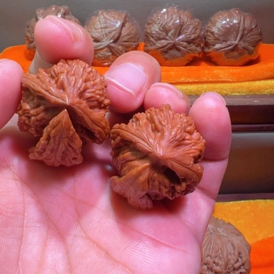 极限象形麦穗虎头犀牛