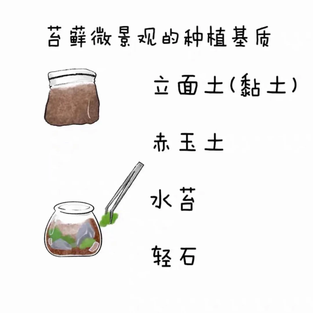 苔藓基质立面种植土黏土苔藓配方土泥炭土赤玉土智利水苔轻石