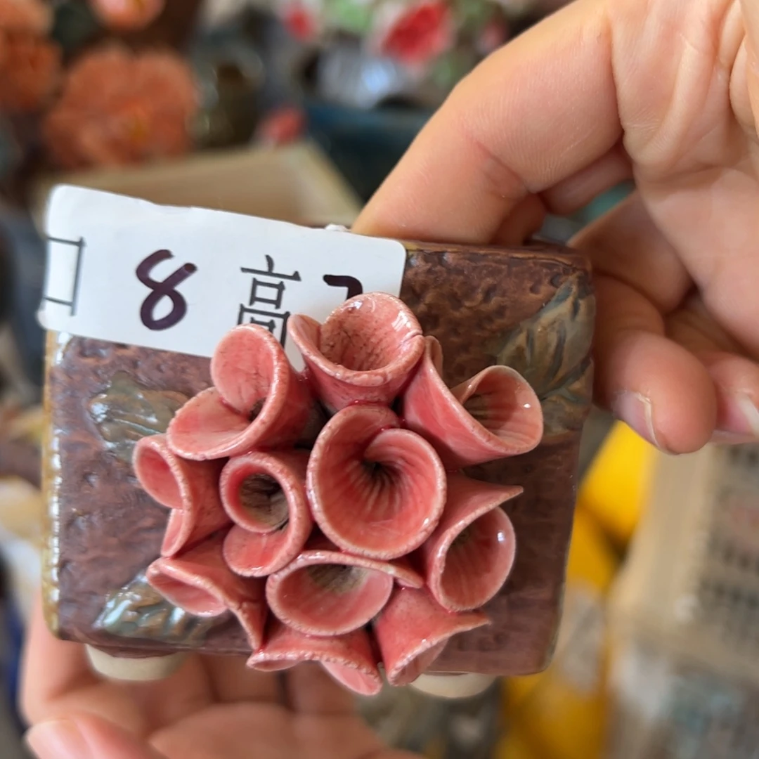 花盆，满20发货，爱退款拉黑