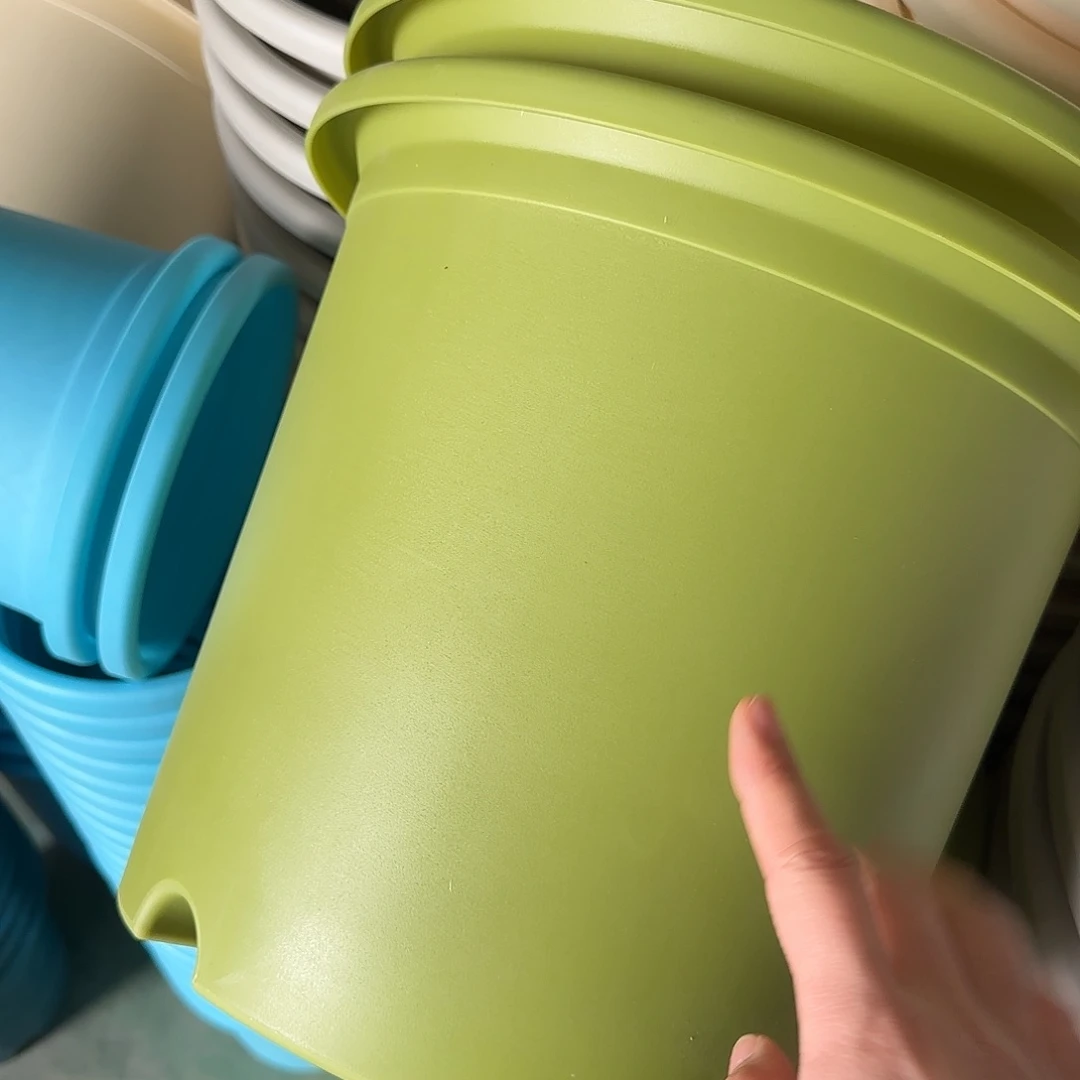 树脂四季6号无托7个果绿微瑕