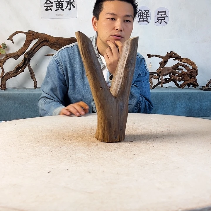 新年快乐沉木造景