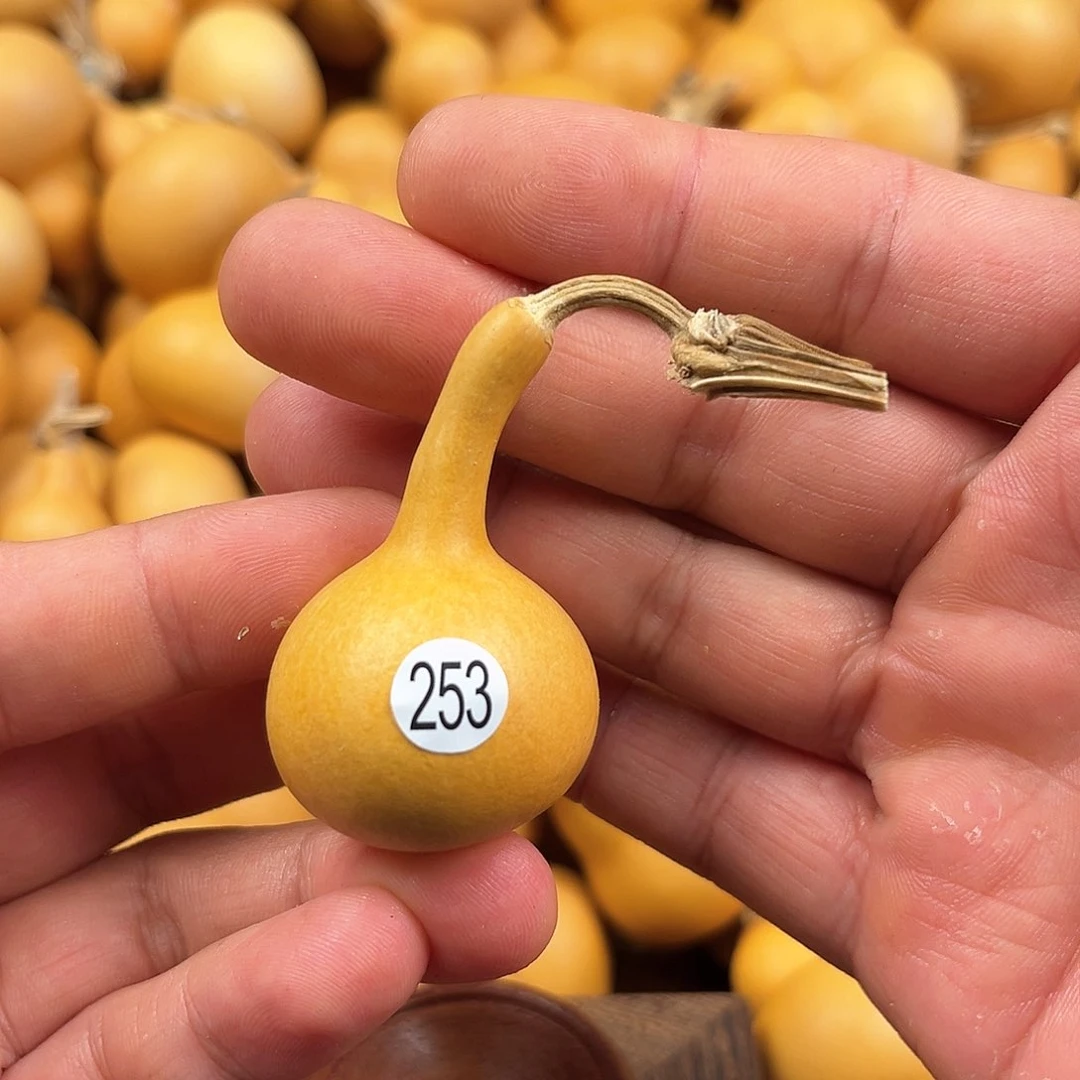 三葫芦葫芦葫芦葫芦253