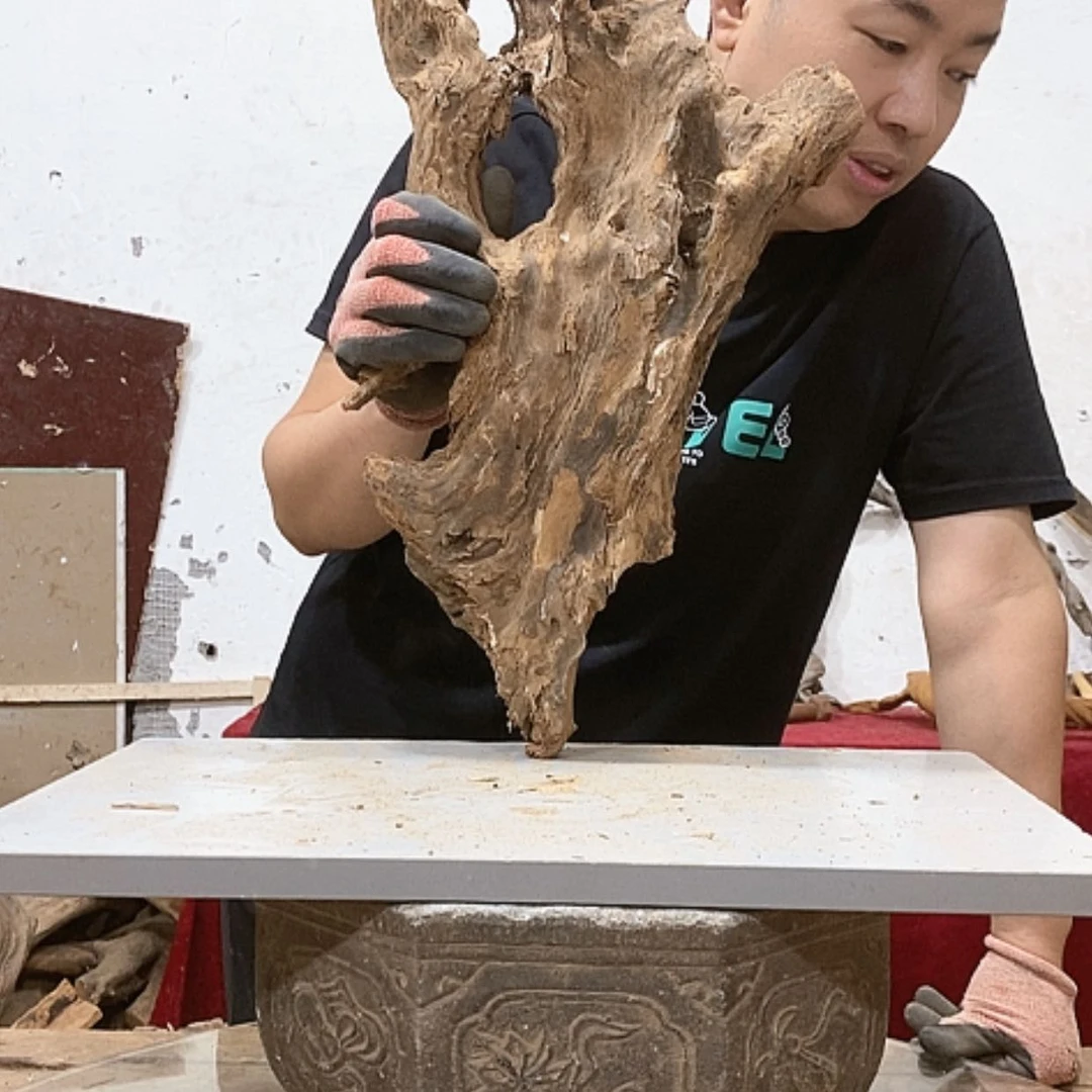 【闪购商品】柏木陈**师我们都是好孩子