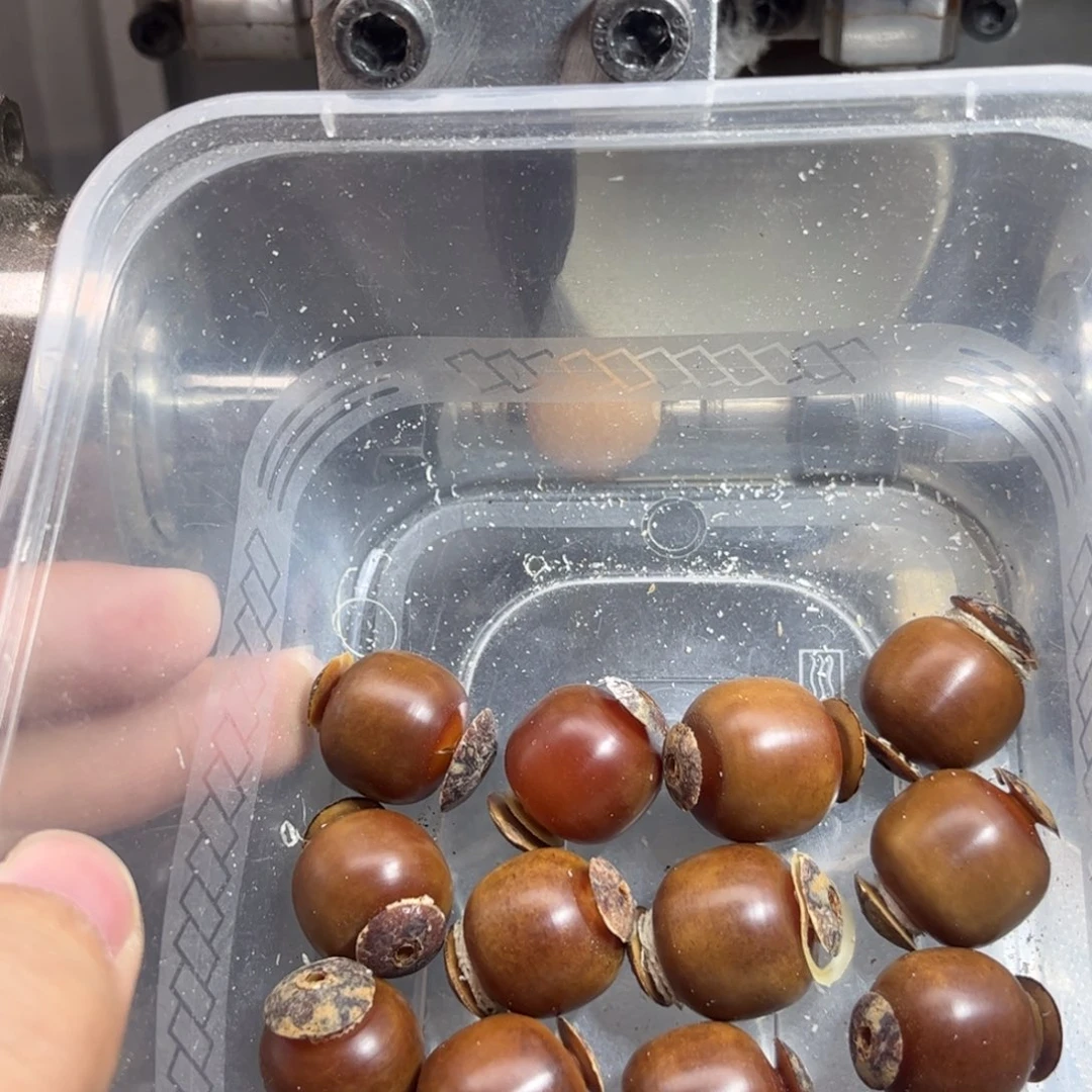 缘***菩提根/象牙果吊坠