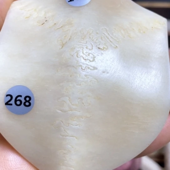 小***油手串/手链鹿骨养殖鹿鹿三界手把件