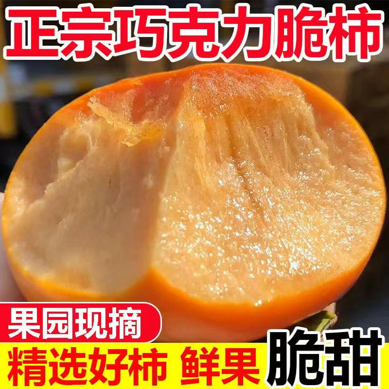 【五斤】正宗冰糖心巧克力脆甜柿子树熟果新鲜采摘应季孕妇水果包邮