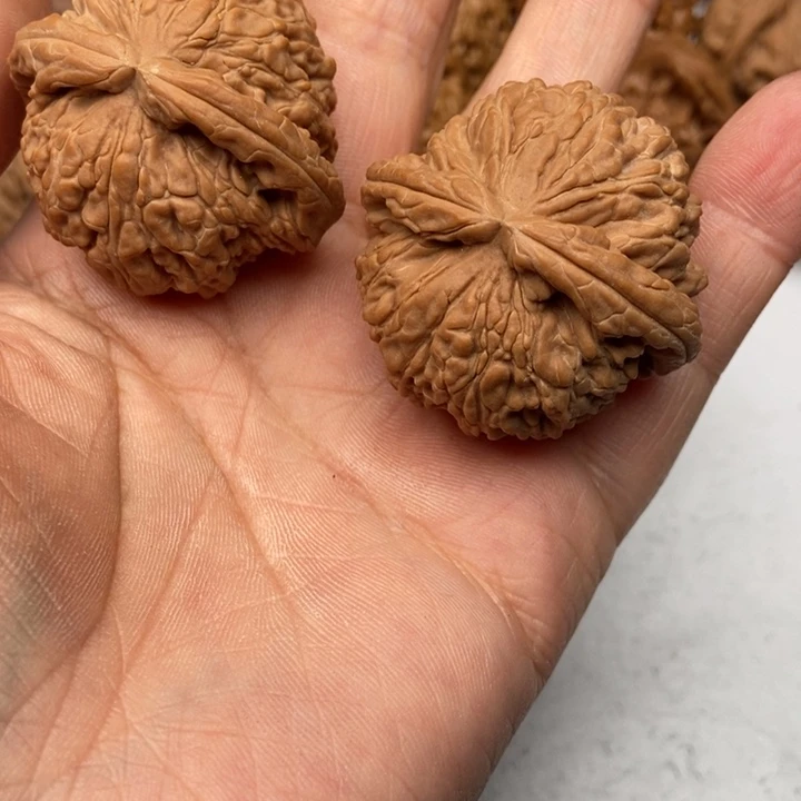 文玩核桃把件不****人白狮