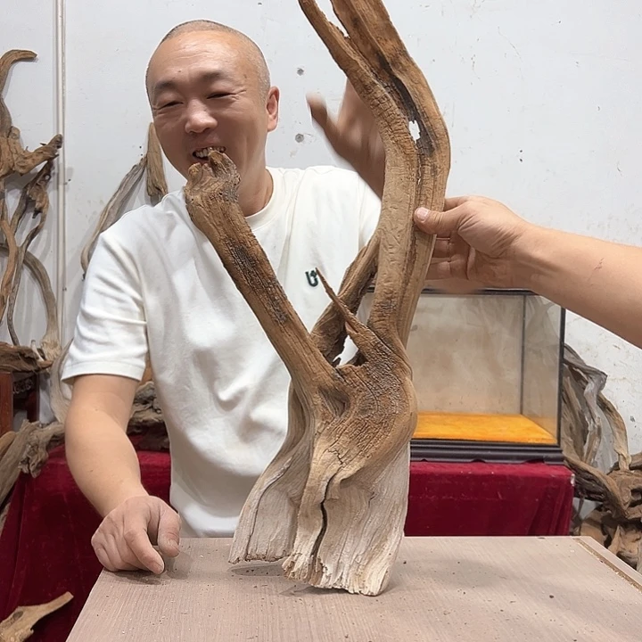 柏木四***༨我们的生活是以自己为