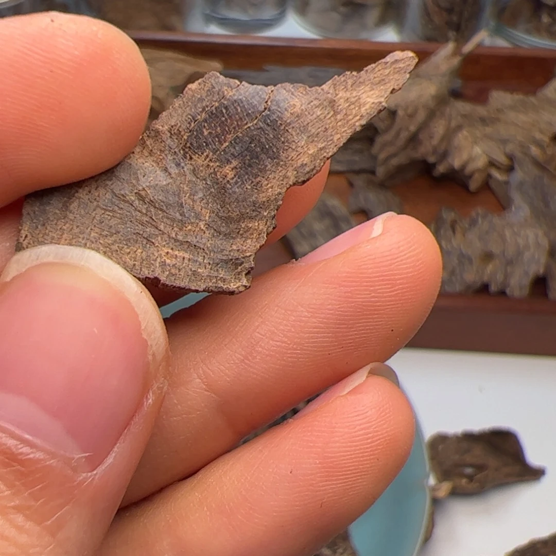 香料香港沉水壳0.57克