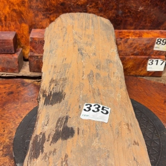 大果紫檀（缅甸花梨）