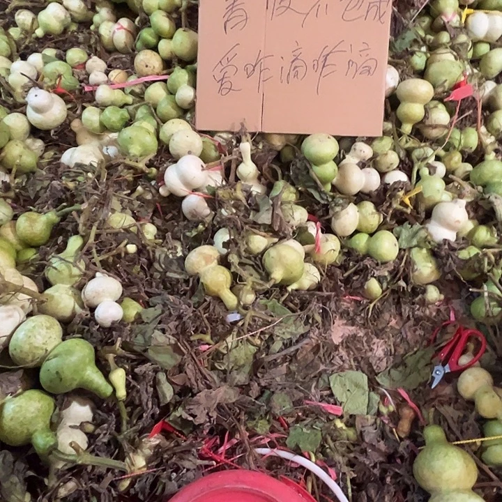 为***彩啊啊啊啊啊啊啊啊啊啊大