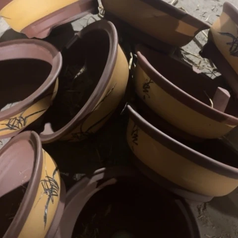 紫砂花盆100-9。100-9