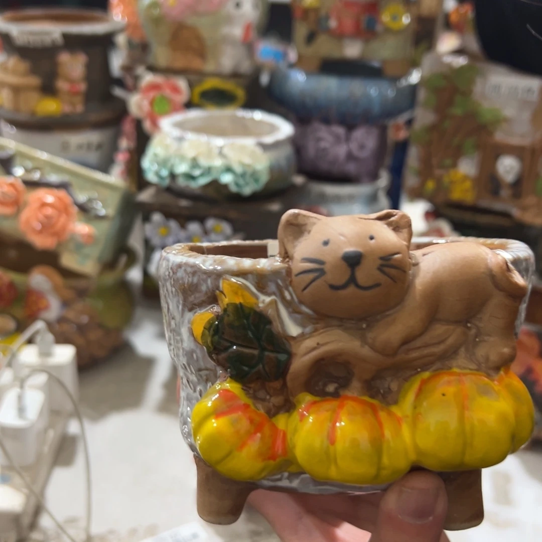 花盆，拍满20发货，退款拉黑