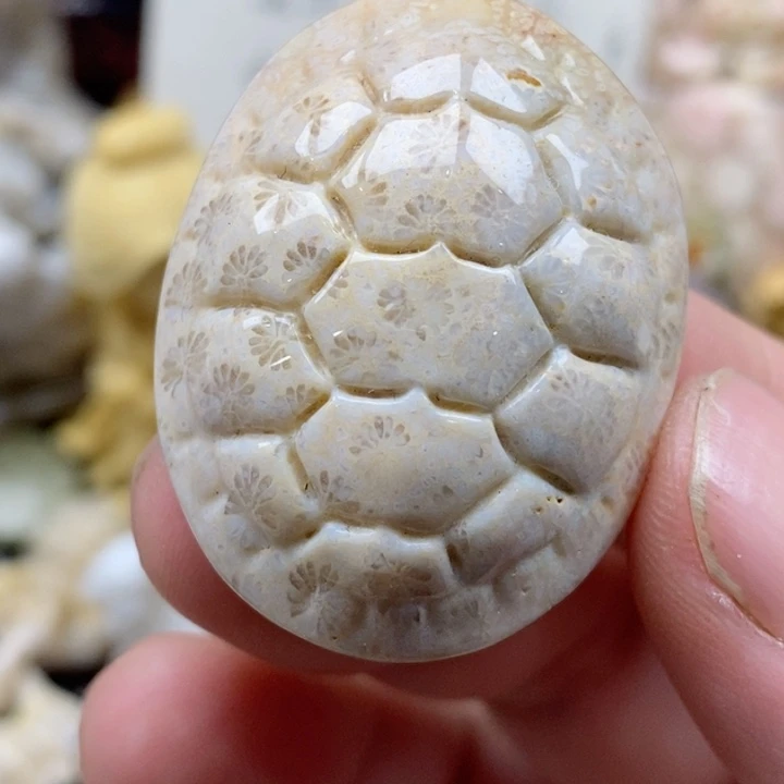 颈饰未镶嵌硅化珊瑚（珊瑚玉）