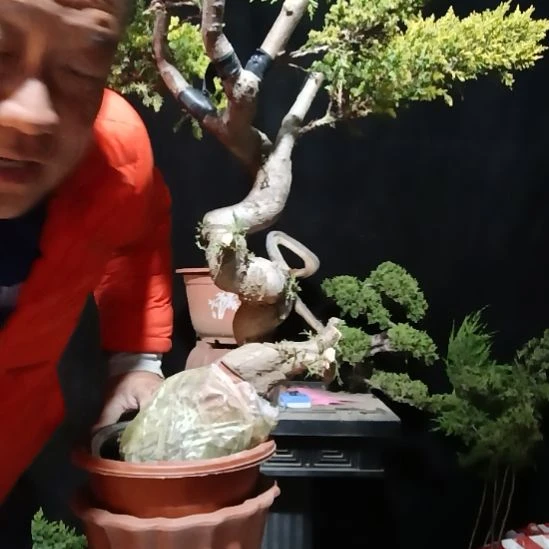 一***行无花朵好好好好好好