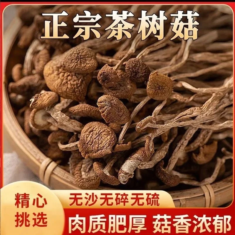 正宗农家茶树菇 原汁原味龙年纯干货20g/袋