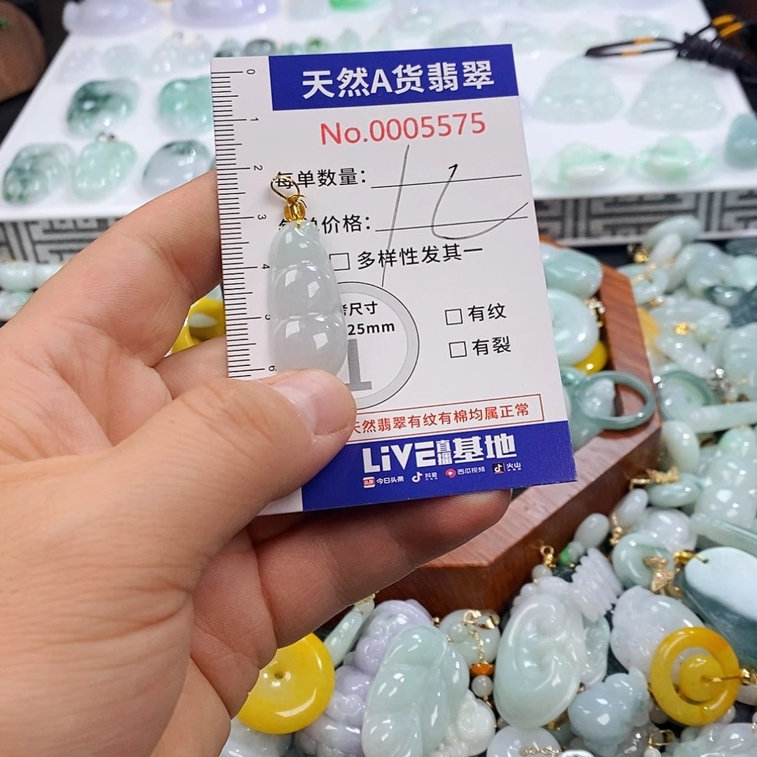 翡翠未镶嵌颈饰5575