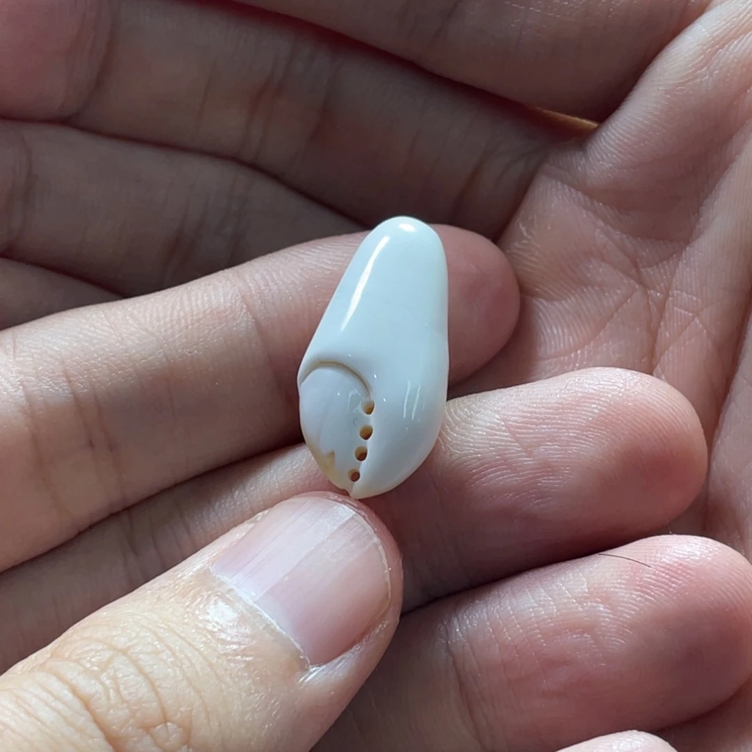 未镶嵌琥珀珠宝奇石小*9