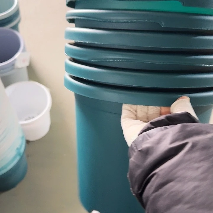 缺口5#口径29军绿10个无托