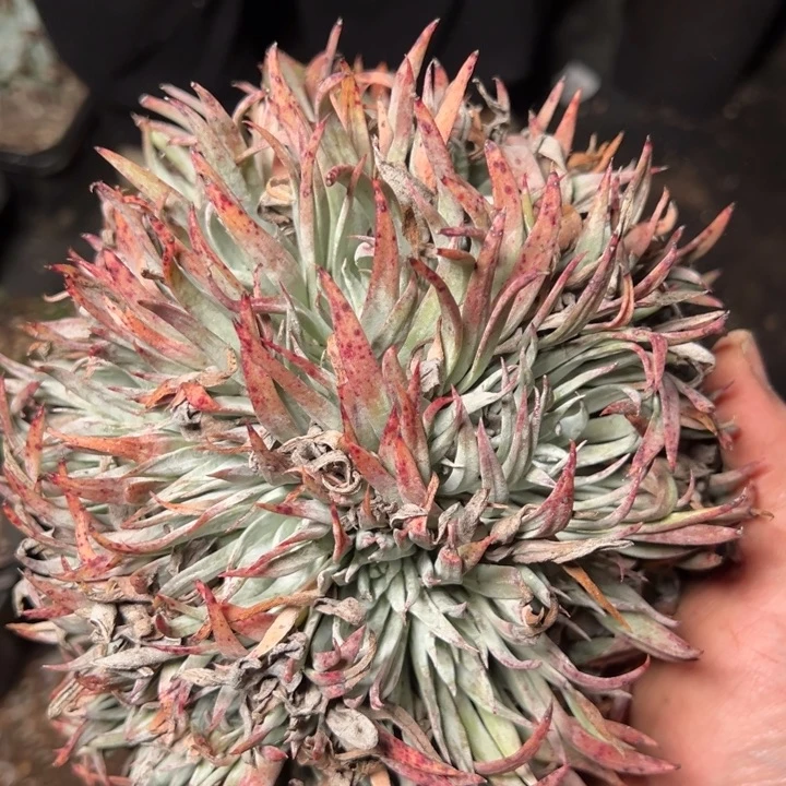 1780哈哈哈哈哈哈哈哈