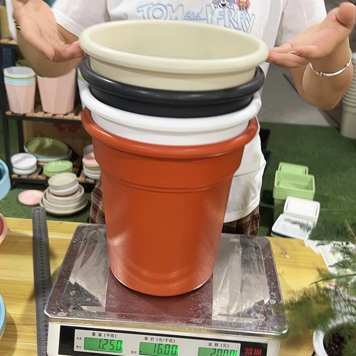 特价翻边11口23高26混色无托4只