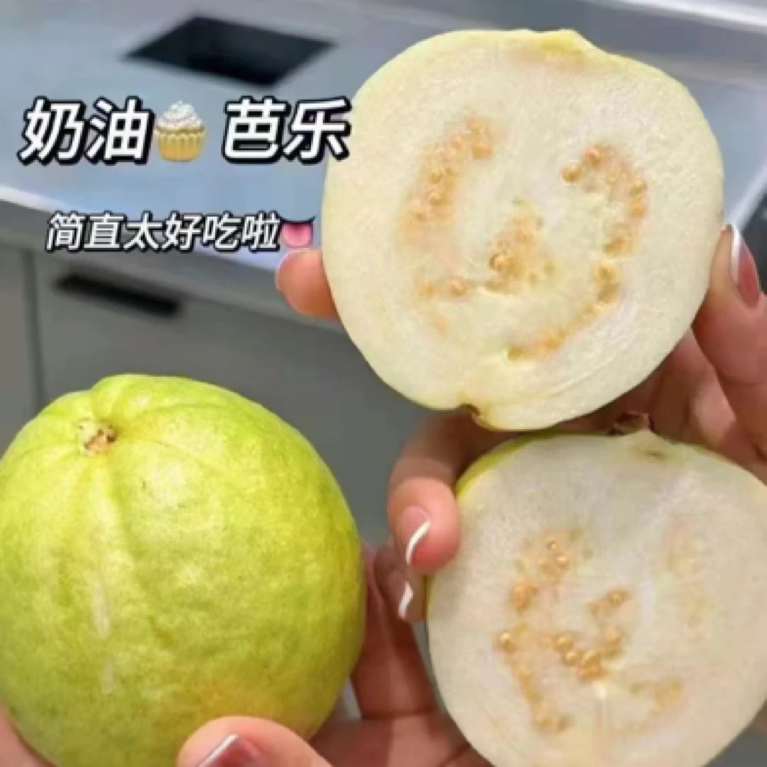 树熟奶油芭乐（约3斤/箱）