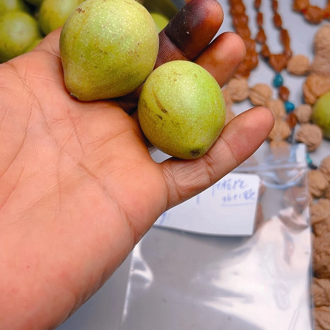 猴头核桃吊坠金蟾20加手捻