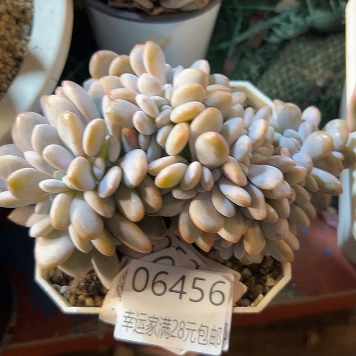 幸运的是我还没遇到过