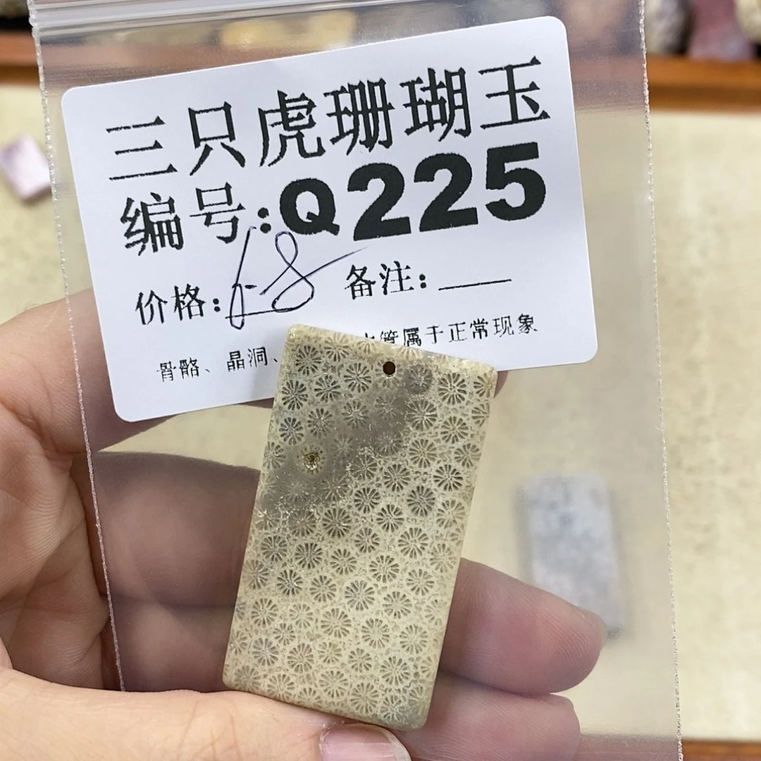 硅化珊瑚（珊瑚玉）1未镶嵌O****g