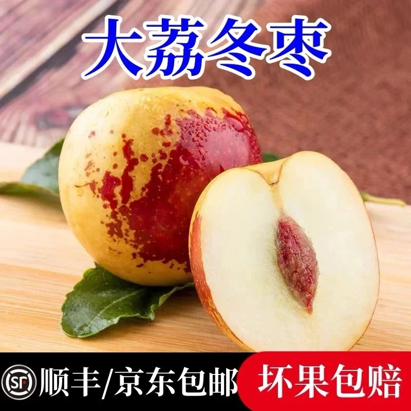 【京东快递】陕西大荔冬枣正宗现摘冬枣脆甜爽口当季新鲜水果