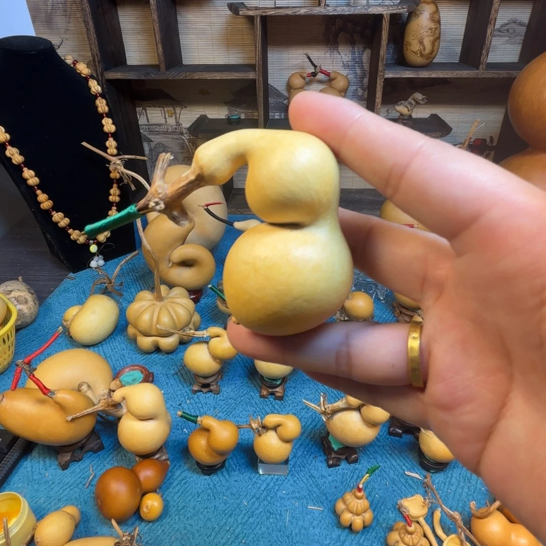 G***s精品蚂蚁嘎嘎漂亮哦