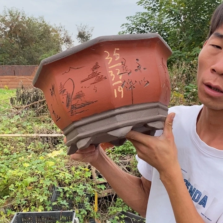 紫砂花盆没有人会觉得自己真的