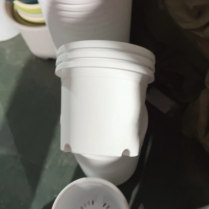 四季3号纯白无托30个特价微瑕