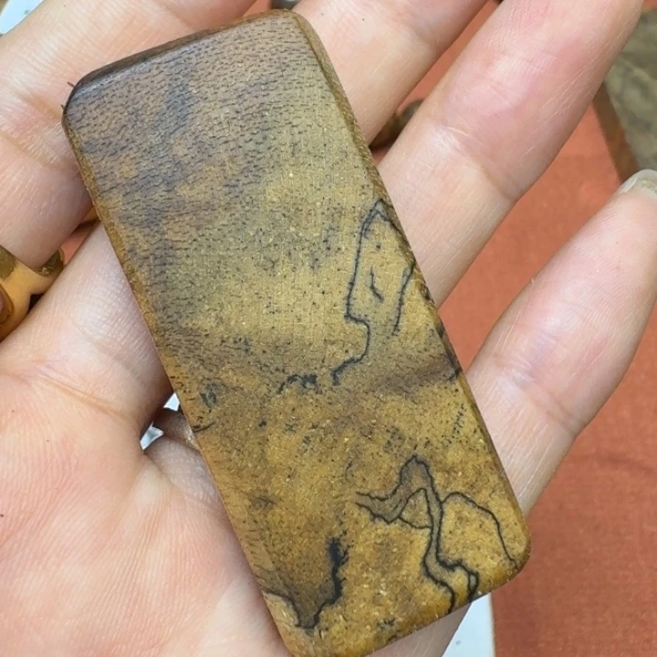 大叶紫檀（黑酸枝木类）