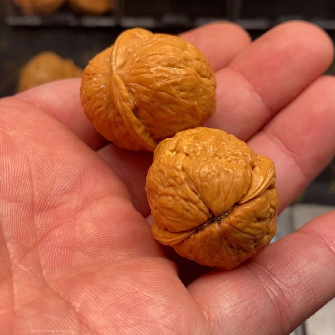 吊坠文玩核桃小钢炮