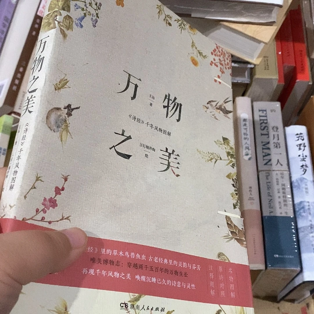 用***0瑕疵锯口  万物之美……