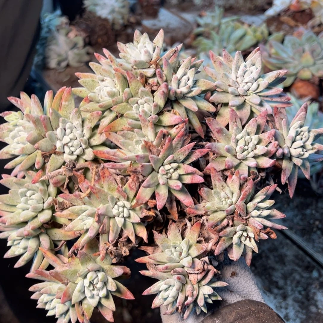 318个哈哈哈哈哈哈哈哈