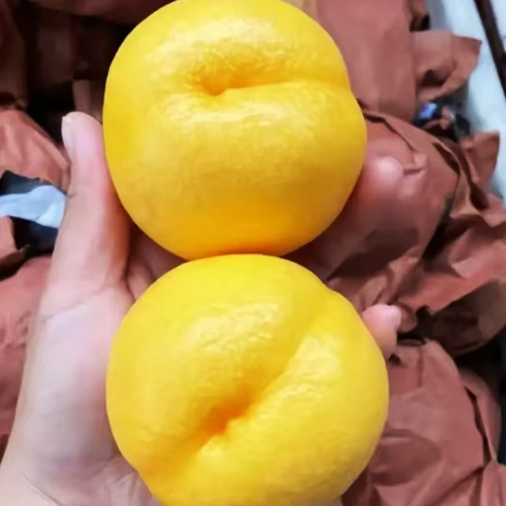 包邮蒙阴黄金油桃黄金蜜桃双拼应季现摘水果新鲜纯甜当季手选大果