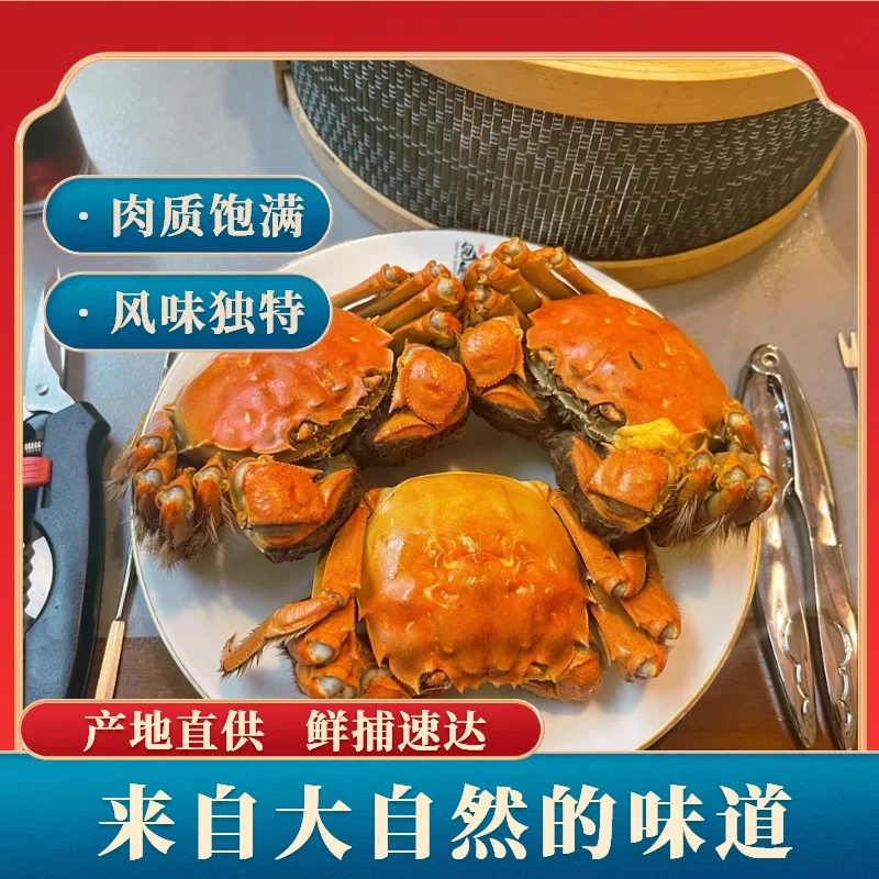 【活蟹】盘锦河蟹（0.8-1.1两） 公蟹母蟹各一半   稻田蟹到手2.4斤