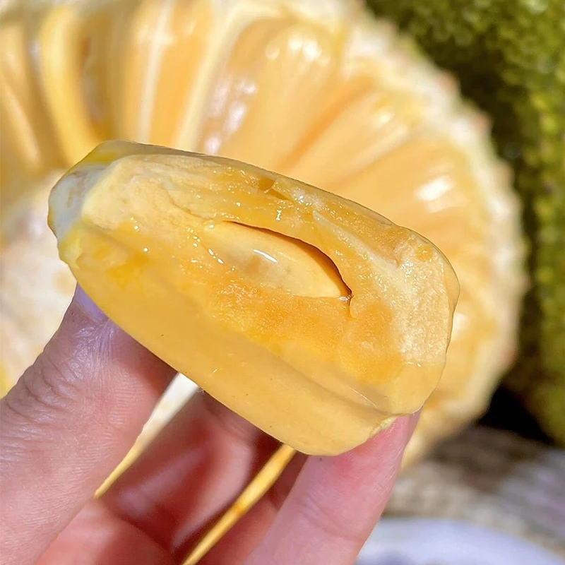 A级果发顺丰】越南新鲜红肉菠萝蜜水果广西口岸进关果干南宁仓发货