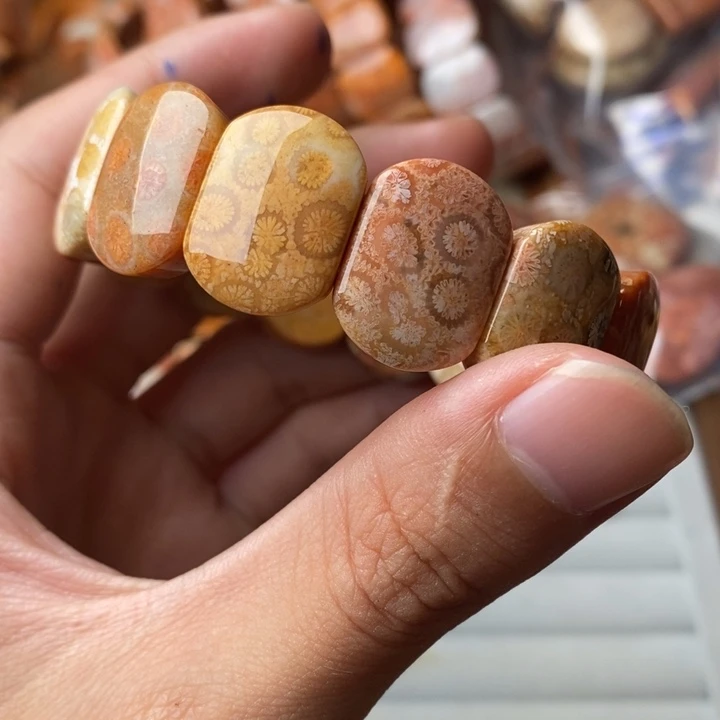 江***河未镶嵌珊瑚玉硅化玉