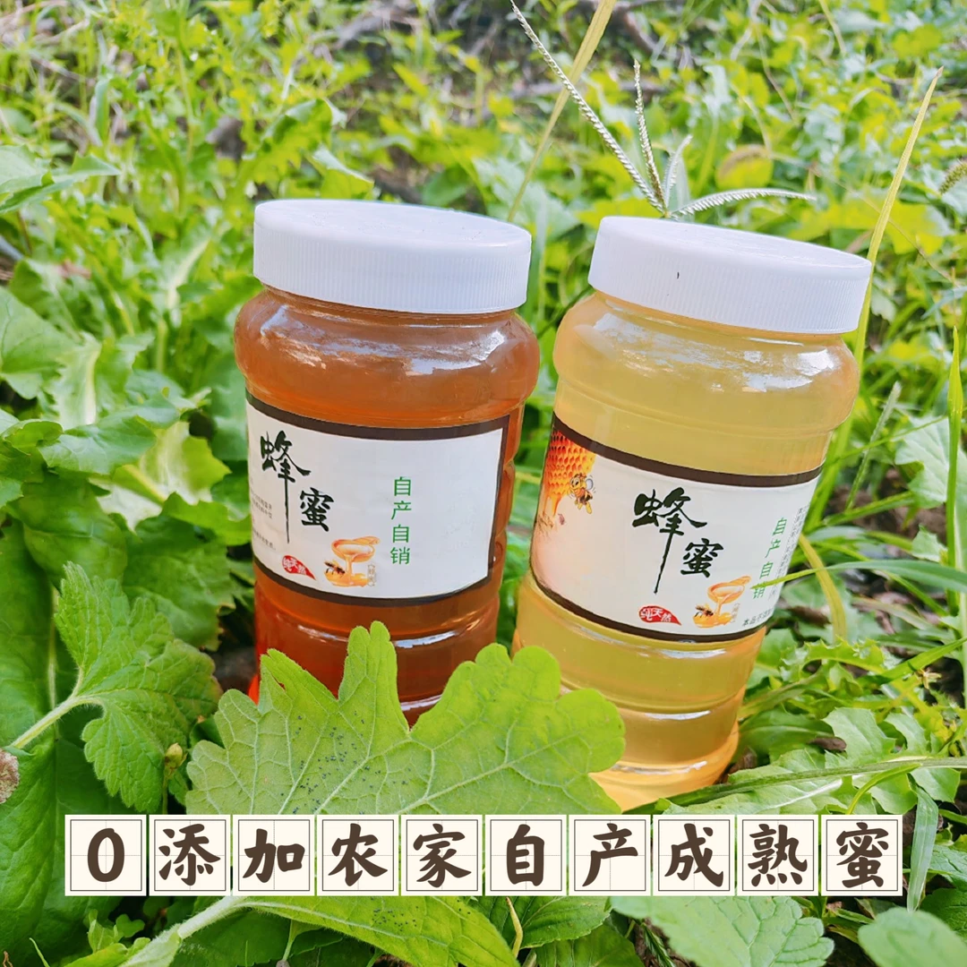 纯天然无添加初级农产品   小枣花蜜槐花蜜   农家土蜂蜜自产自销