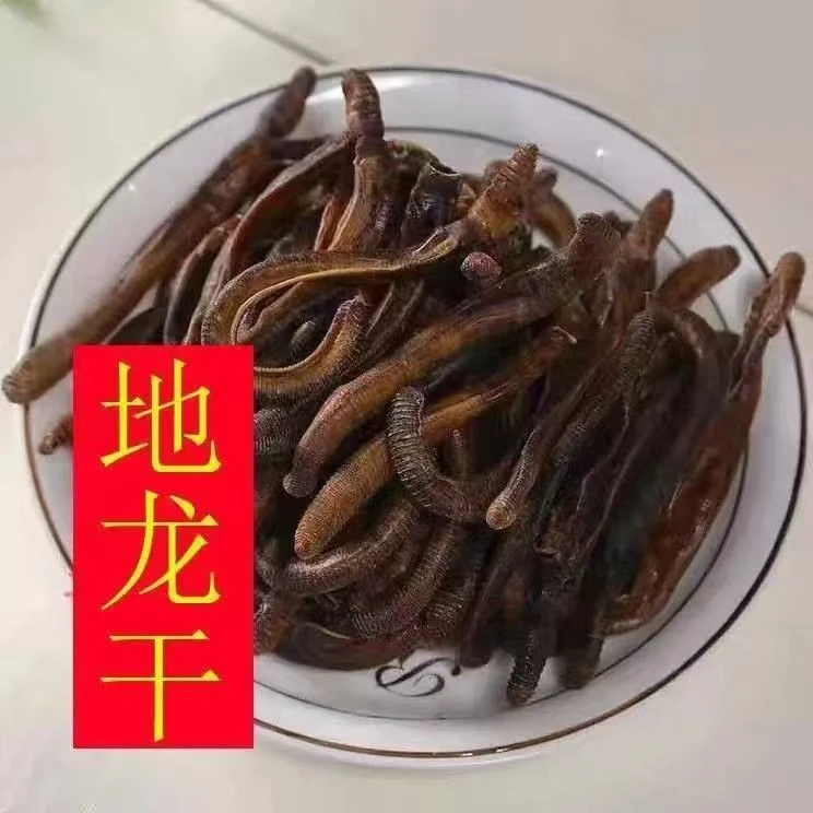 青蚯蚓干特浓干货特臭黑青鲜活一整箱黄鳝专用诱饵地龙中药材