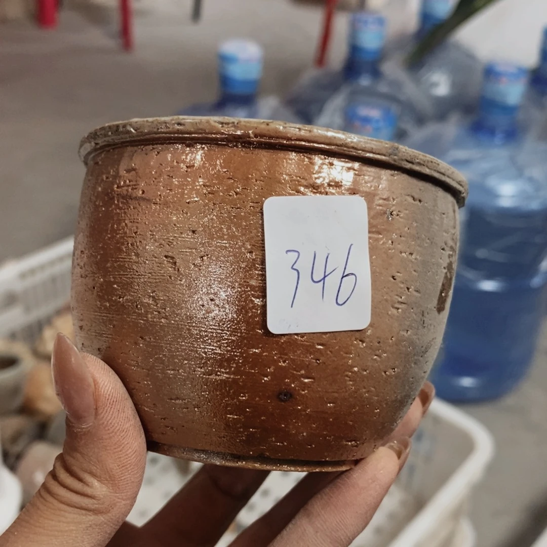 仓播福利活动开始9101