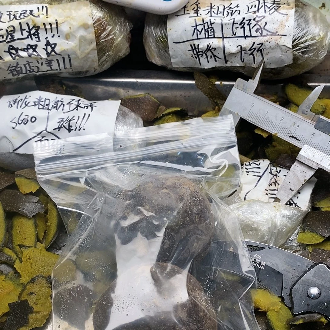 褦***襶刚回家吗奶奶不过估计会