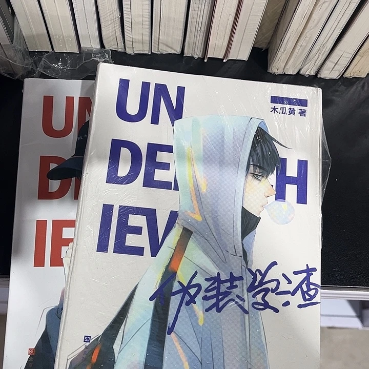 伪装学渣全新全套两本带周边未删减